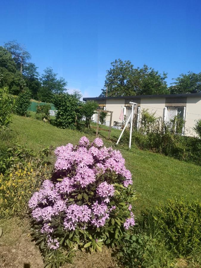 Bed and Breakfast Au Balaway Louey Esterno foto