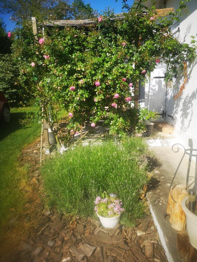Bed and Breakfast Au Balaway Louey Esterno foto